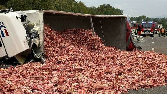 An overturned truck spilling meat scraps on the road, with emergency services in the background. A costly accident and fail.