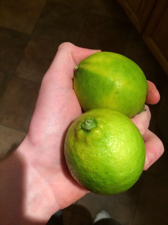 “Everybody Thinks You Got A Michelin Star”: 47 Fancy Cooking Techniques That Are Shockingly Easy