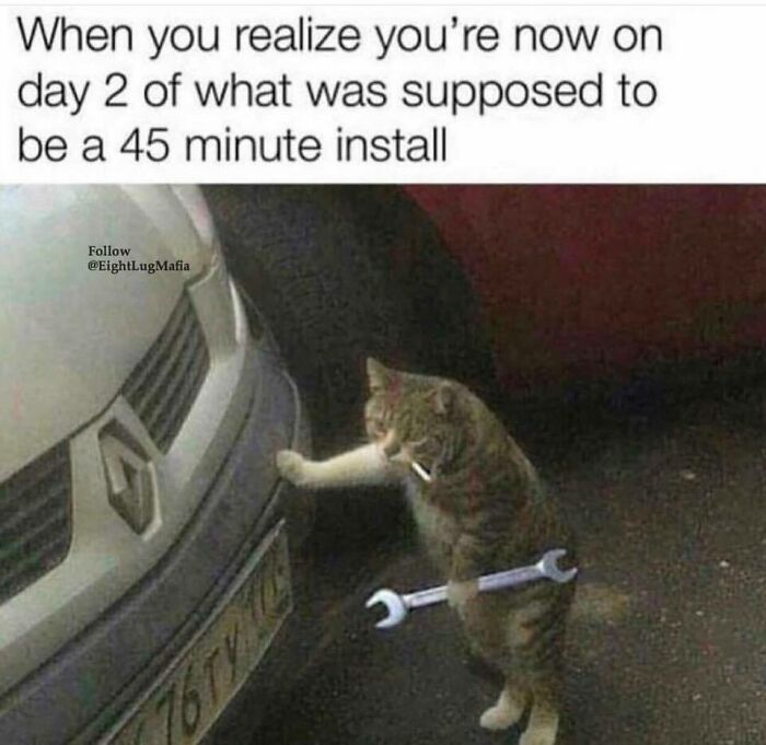 Cat holding a wrench and a cigarette next to a car, illustrating absurd things car mechanics have seen on the job.
