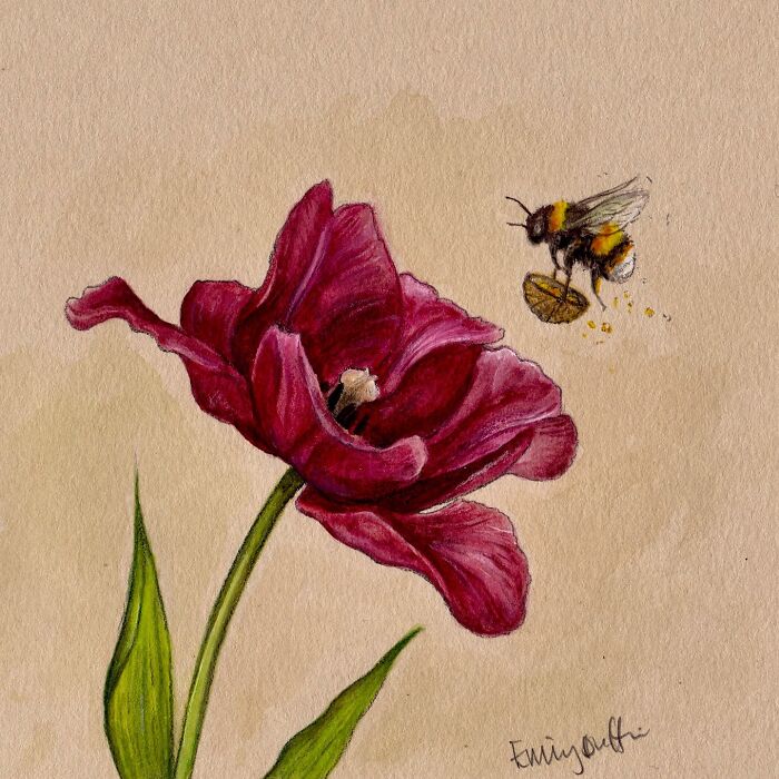 Wholesome animal illustration of a bee approaching a deep red flower capturing the magic of countryside life.