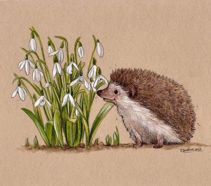 Wholesome animal illustration of a hedgehog smelling white flowers, capturing the magic of countryside life in nature art.