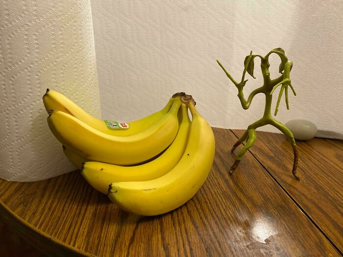 Unusual green root shaped like a figure beside bananas on a wooden table, a curious thing people discovered unknown.