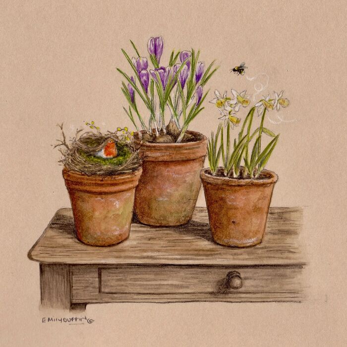 Wholesome animal illustration of a robin in a nest with potted spring flowers on a rustic wooden table.