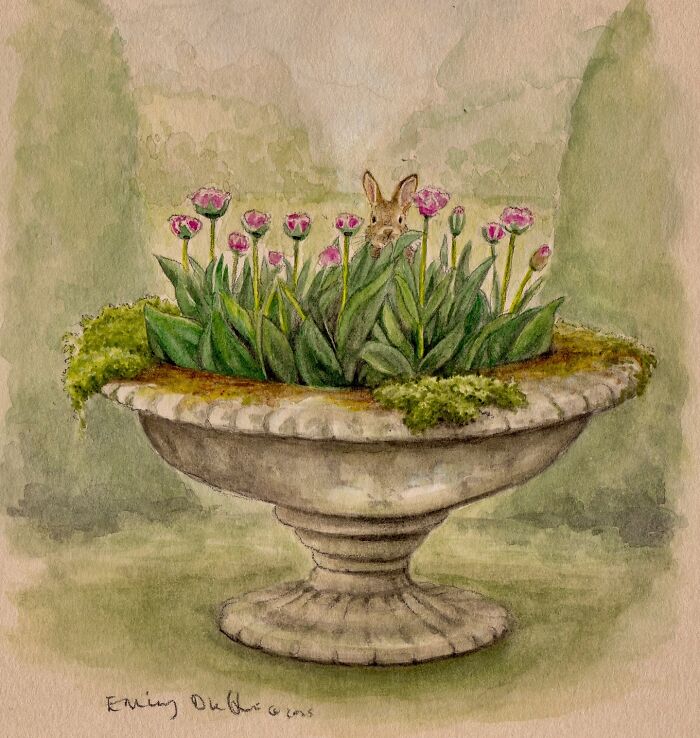 Watercolor animal illustration by Emily Duffin showing a rabbit peeking from pink flowers in a stone planter, capturing countryside life.