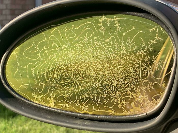 Frost patterns forming intricate, curious designs on a car side mirror, a surprising discovery people didn’t expect.
