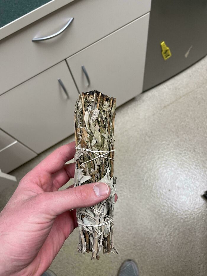 Hand holding a bundle of dried herbs indoors, one of the curious things people discovered with no idea what it was.