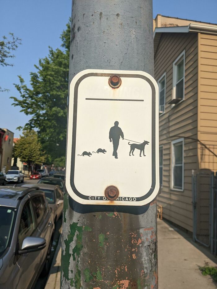 Sign on a pole in a city street showing a person walking a dog with two rats, a curious thing people discovered in urban areas.