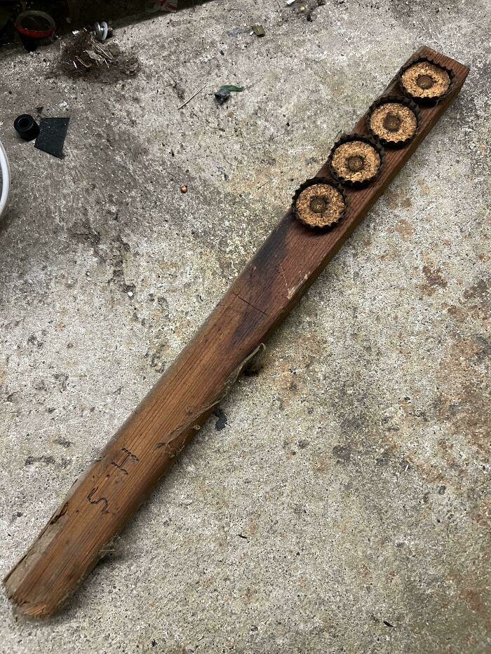 Old wooden tool with four circular saw blade inserts, one of the curious things people discovered and had no idea what they were.