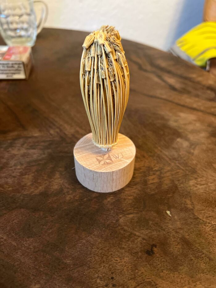 Curious thing discovered resembling a bundle of dried plant fibers attached to a small wooden base on a table.