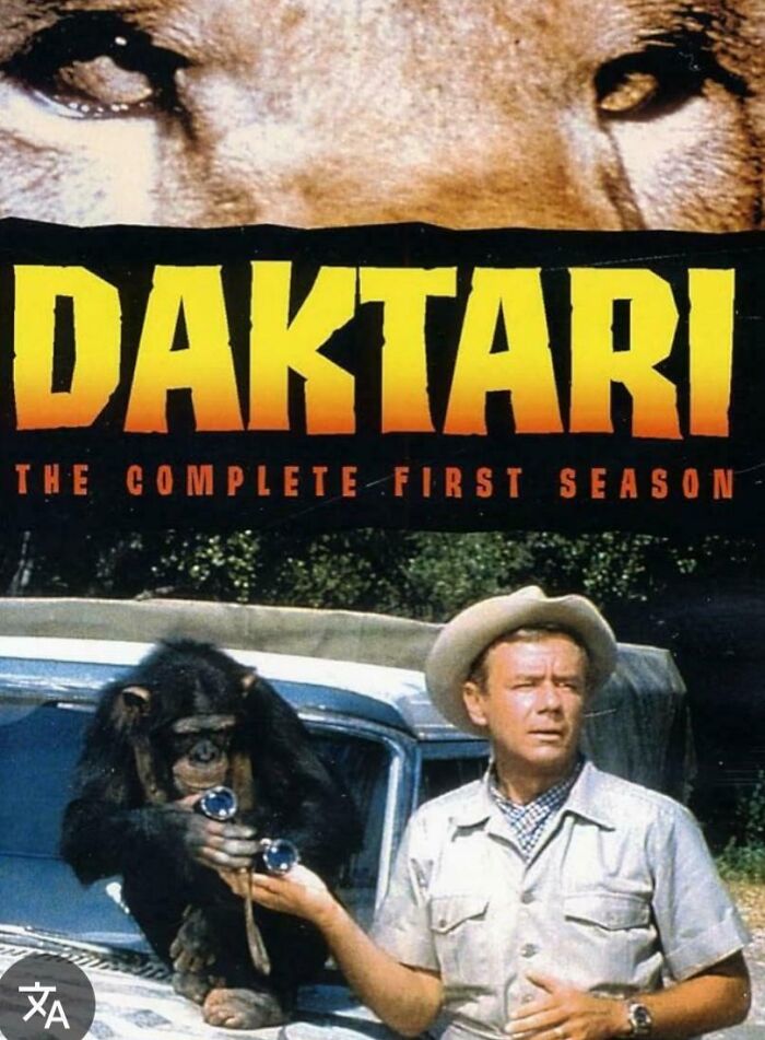 Man in safari outfit with a chimpanzee wearing glasses, nostalgic image reminding viewers of old age.
