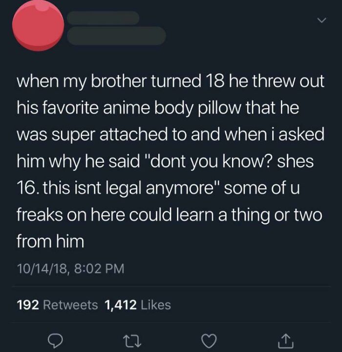 Tweet about a brother who responsibly threw out his anime body pillow at 18, showing cringe-worthy but wholesome behavior.