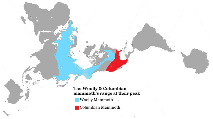 Map showing the range of woolly and Columbian mammoths at their peak in a detailed informative map perspective.