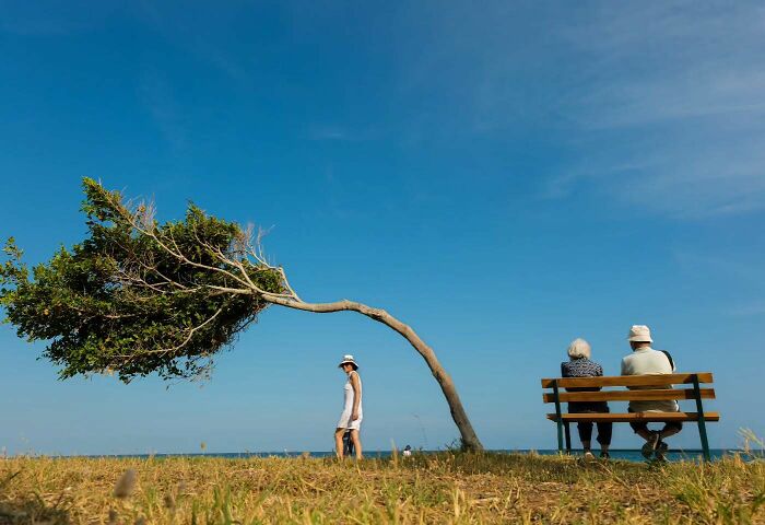 Leaning tree on a grassy shore with two people sitting on a bench and a person walking, captured in timed street photo.