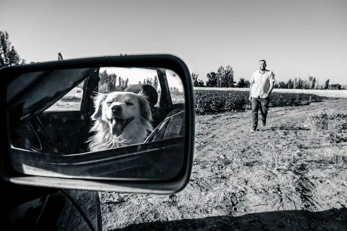Black and white perfectly timed street photo showing a happy dog reflected in a car mirror and a man walking in the background.