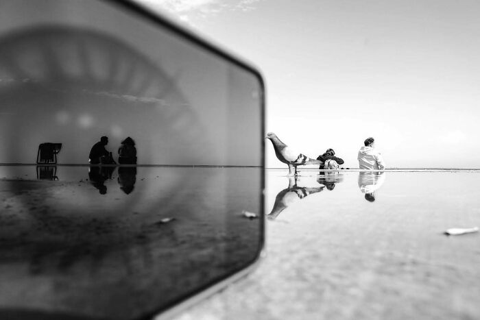 Black and white perfectly timed street photo showing reflections of people and a bird on wet pavement by Melahat Ünel.