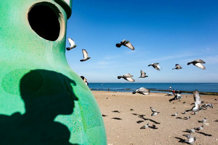 Shadow of a person on a green structure with pigeons flying over a beach, captured in perfectly timed street photos.