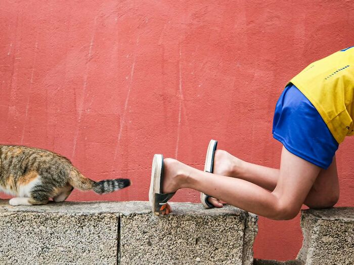 Cat walking on a stone wall while a person in shorts and flip-flops leans forward in a perfectly timed street photo.