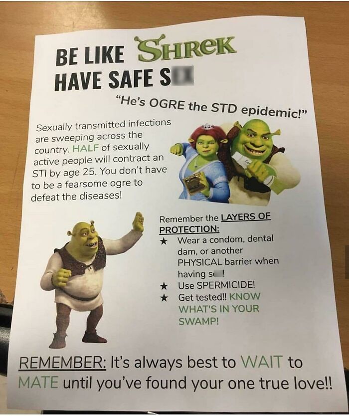 Poster with Shrek characters promoting safe s*x and STI awareness, a cringe-worthy but wholesome educational post.