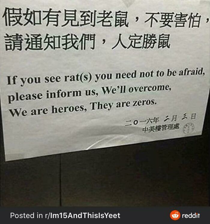 Sign with English and Chinese text encouraging reporting rats confidently, showing cringe-worthy but wholesome posts vibe.