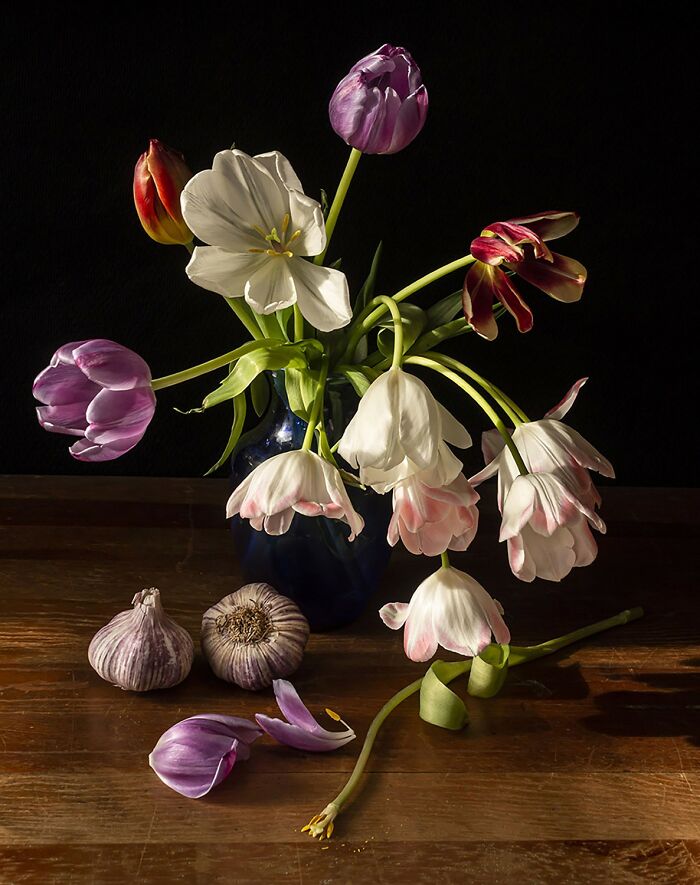 Still life of delicate tulips and garlic bulbs on a wooden surface revealing Earth’s hidden patterns in natural light.
