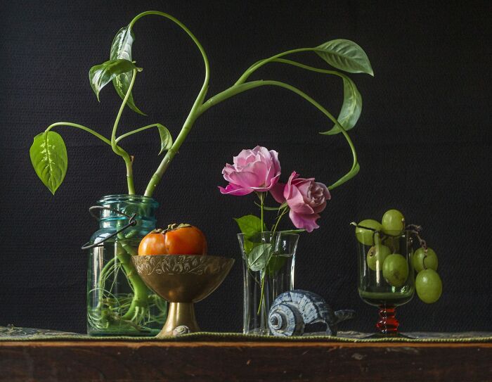 Still life composition featuring plants, fruit, and a shell, highlighting natural patterns and colors from an aerial perspective.