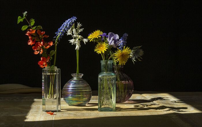 Various colorful flowers in glass vases casting shadows, showcasing nature’s hidden patterns in vibrant aerial color photography.