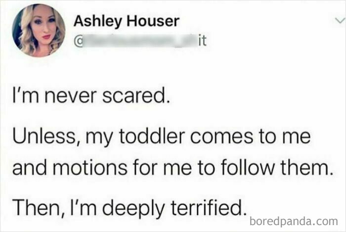 Parenting meme about a toddler leading and causing fear, highlighting funny moments every parent experiences this season.