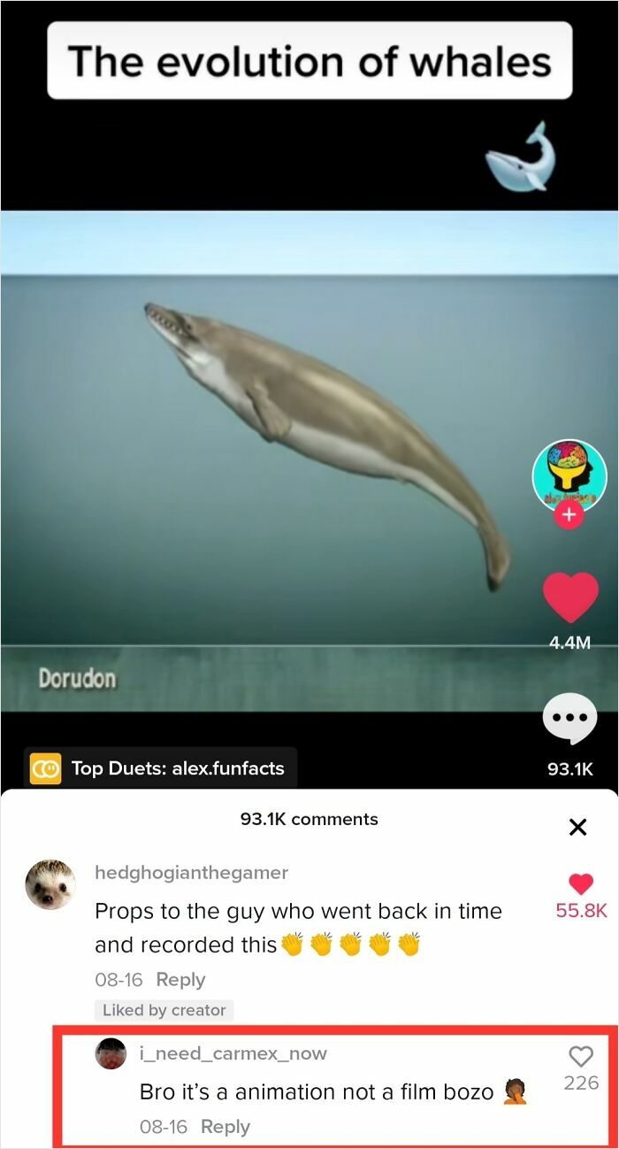 Animation of whale evolution shared on TikTok with user comments and high engagement shown.