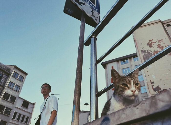 Low-angle candid photo capturing a man and a cat in an urban setting, showcasing real life candid moments in Turkey.