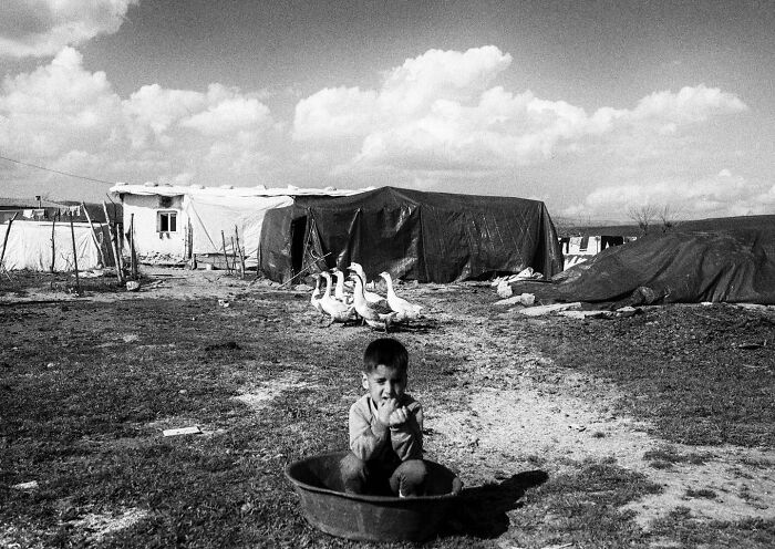 Child sitting in a basin outdoors with geese and tents nearby, showcasing the real candid side of life in Turkey.