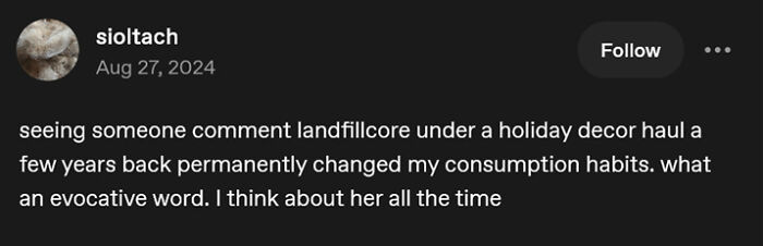 Social media post reflecting on how the term landfillcore changed personal consumption habits amid consumerism issues.