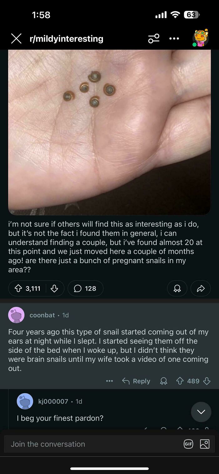 Close-up of a hand holding tiny snails, illustrating unusual and unhinged sentences from a viral online discussion.