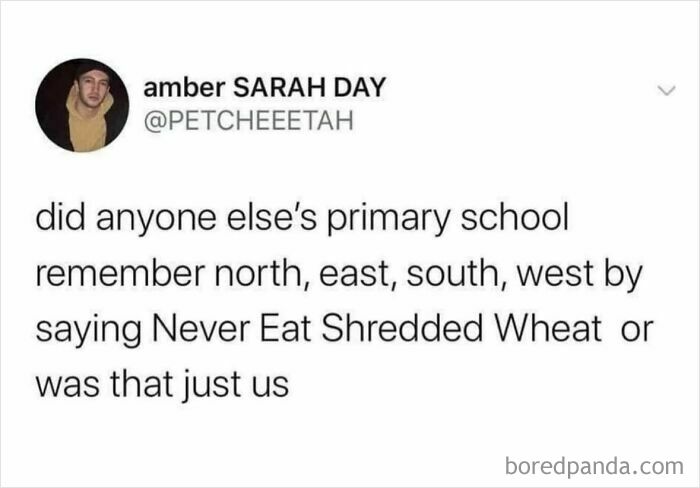 A viral meme about remembering cardinal directions in primary school using Never Eat Shredded Wheat phrase.