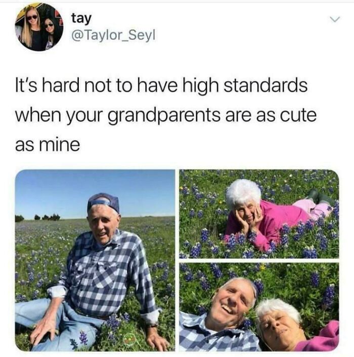 Elderly couple smiling and enjoying a flower field, capturing heartwarming stories and moments of pure joy.