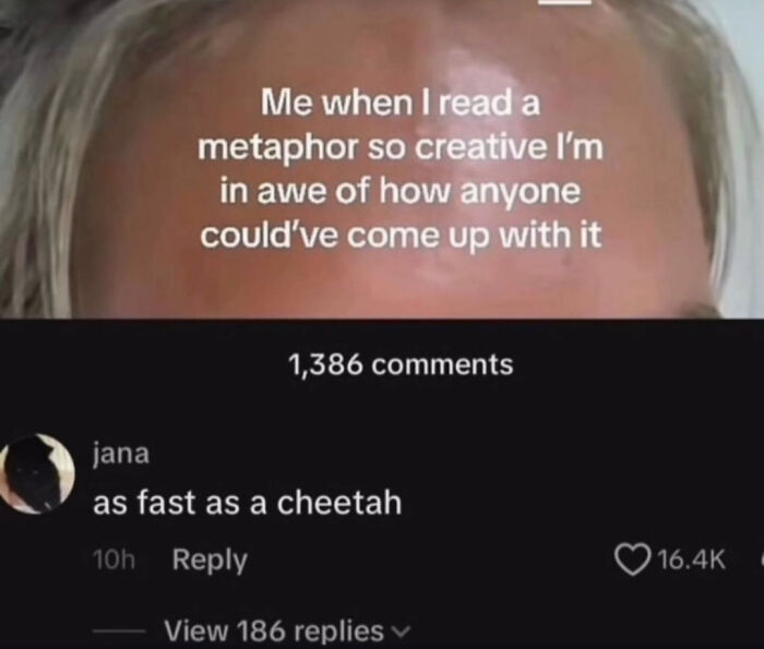 Person amazed by a creative metaphor with a humorous comment saying as fast as a cheetah and many reactions in comments.