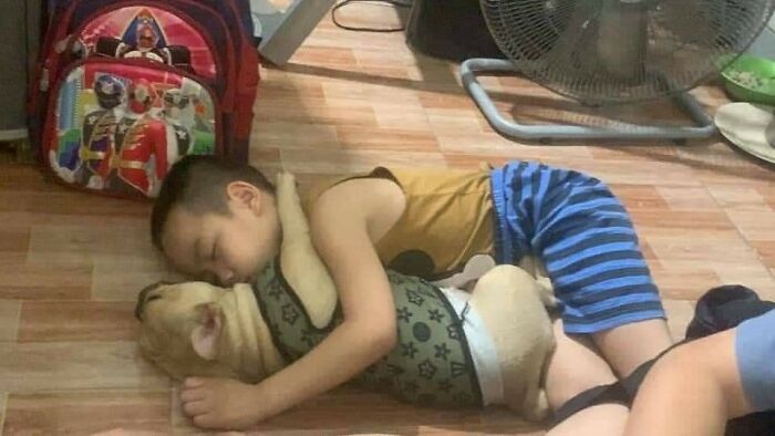 Niño abrazando a su perro dormido en el suelo, momento divertido y tierno de perros capturado en cámara.