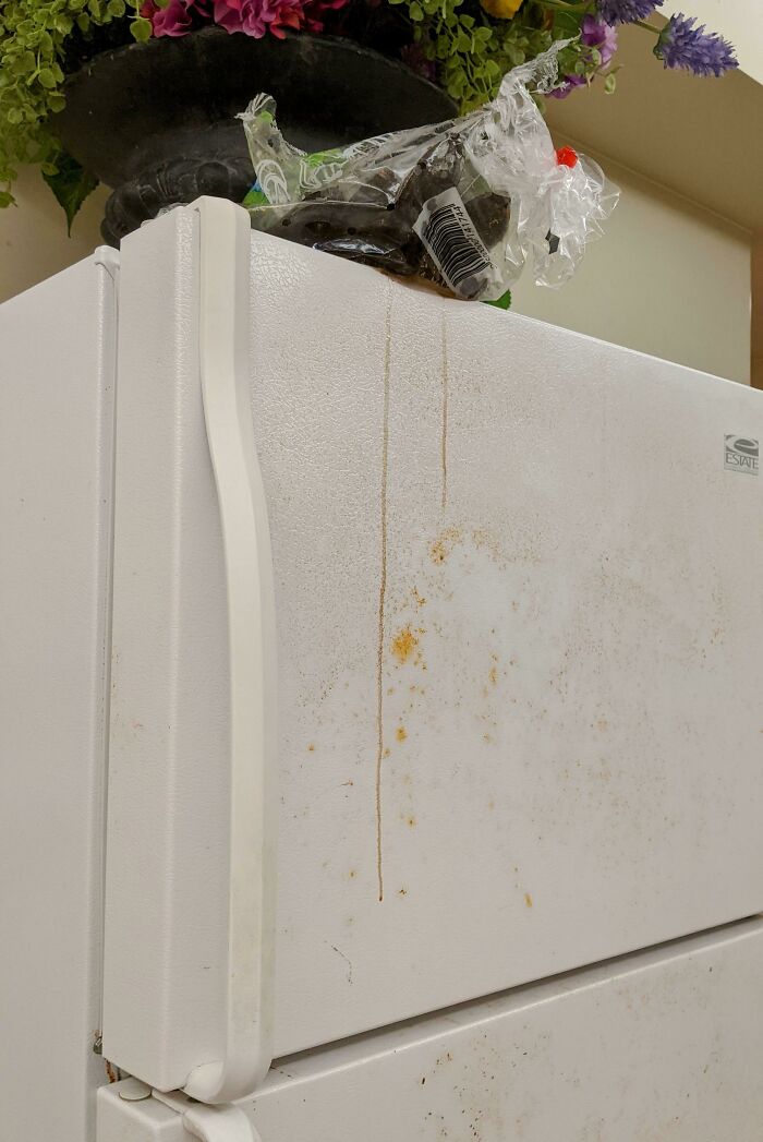 Stained white refrigerator door with grime and an uncared-for plastic bag on top, showing awful roommate neglect.