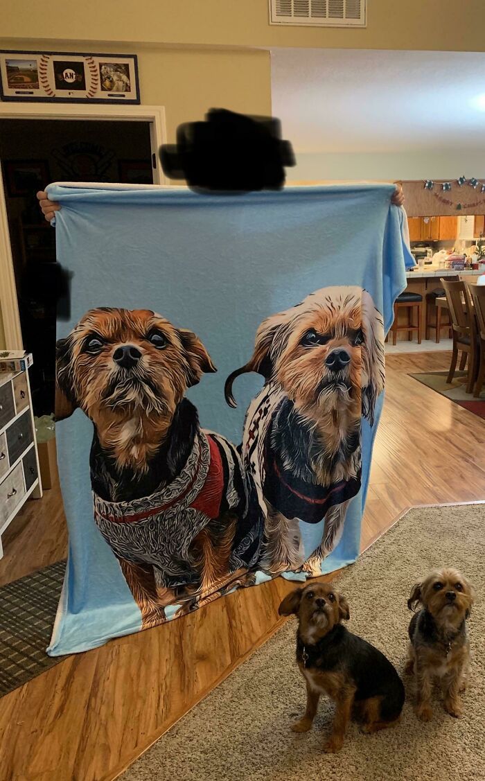 Person holding a blanket with printed dogs that look very different from the real dogs sitting nearby, illustrating purchase fails.