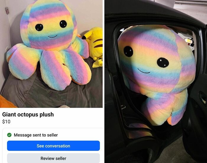 Rainbow octopus plush shown in product image versus oversized plush barely fitting inside a car door.