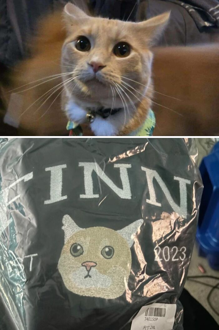 Comparison of an adorable cat and a poorly designed cat image on a purchased shirt in buying fails collection.