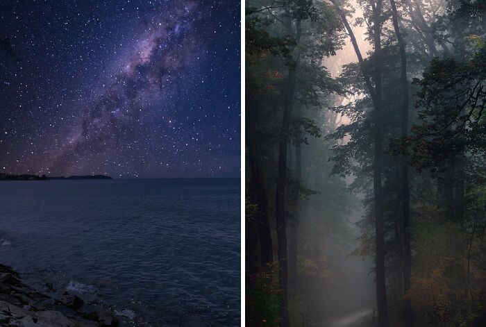 Nighttime starry sky over a calm sea contrasted with a foggy, dark forest scene in an eerie natural setting.