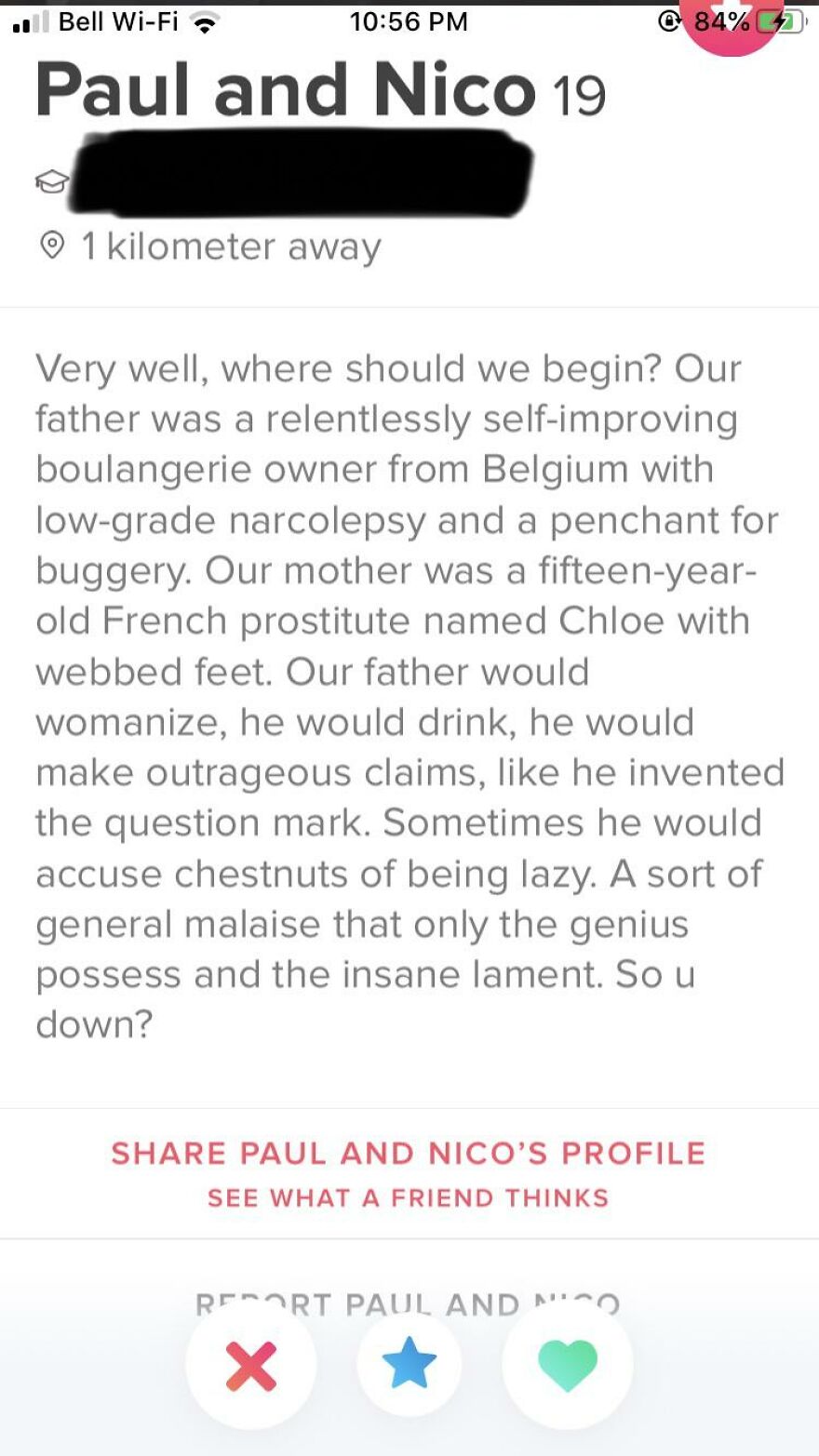 Tinder bio for guys named Paul and Nico with a witty and unconventional self-description on a dating app profile.