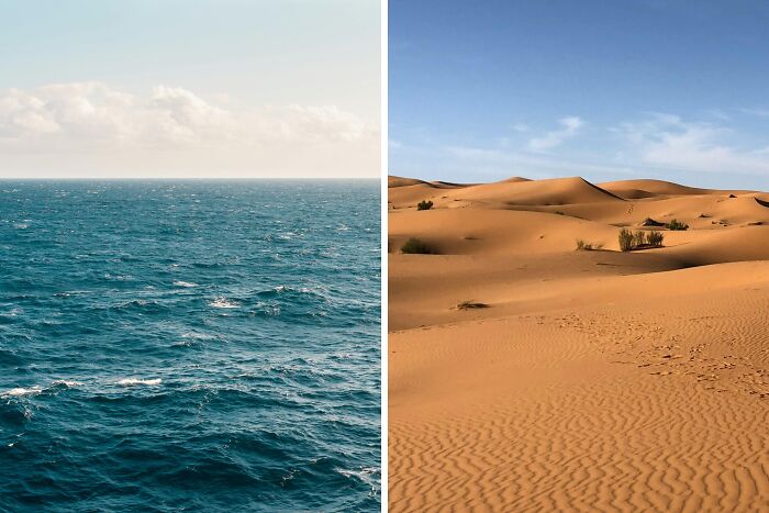 Split image showing open ocean waves on the left and vast desert sand dunes under a blue sky on the right related to toddlers or alligator choices.