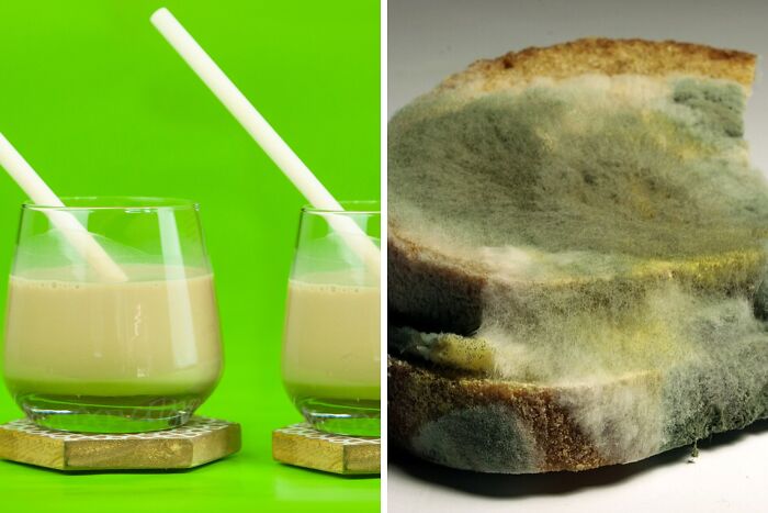 Two drinks with white straws on a green background next to a close-up of moldy bread, illustrating a toddlers or alligator poll.