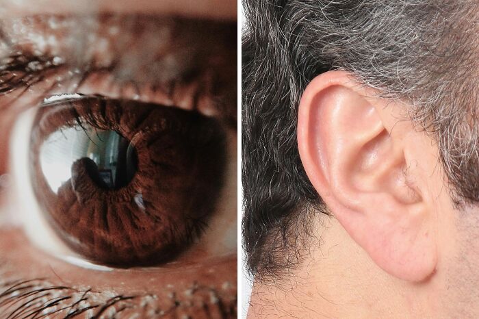 Close-up of a human eye and an ear side by side, illustrating contrast for toddlers or alligator poll concept.