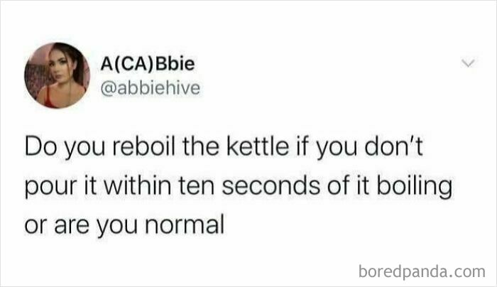 Screenshot of a British joke meme asking if you reboil the kettle or are normal, featuring humor on everyday habits.