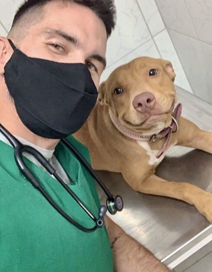 Hombre con mascarilla y estetoscopio tomando selfie junto a perro marrón sonriente en mesa metálica veterinaria.