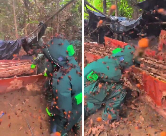 Worker covered in insects while wearing protective gear, depicting one of the creepy and unsettling jobs that should pay more.
