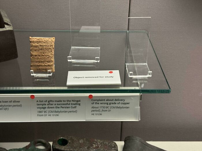 Ancient artifact display showing an object removed for study, highlighting worst luck on vacation with unexpected outcomes.