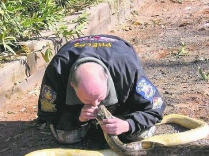 Man handling large snake in outdoor setting, highlighting creepy and unsettling jobs that should pay more based on workers’ photos